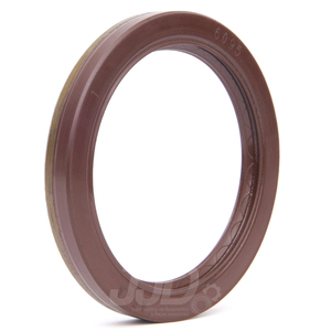 Retentor 6095 BRAGF Arca 55,00x70,10x8,00