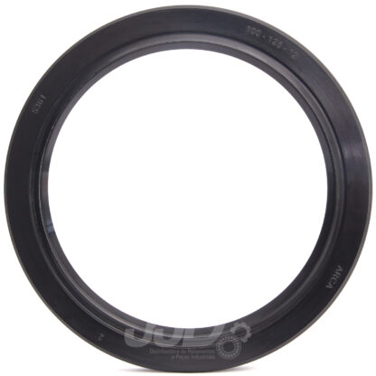 Retentor 01549 BRG 5361 BRG Arca 100,00x125,00x12,00 - Image 2