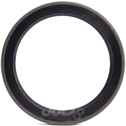 Retentor 02004 BAGP 6308 BAGP Arca 64,00x80,00x08,00 - Image 2