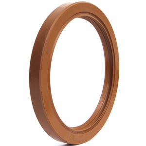 Retentor 01968 BRS 53618 BRGS Arca 100,00x125,00x12,00