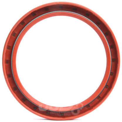 Retentor 05125 BRGS 6296 BRGS Arca 76,20x95,25x09,70 - Image 3