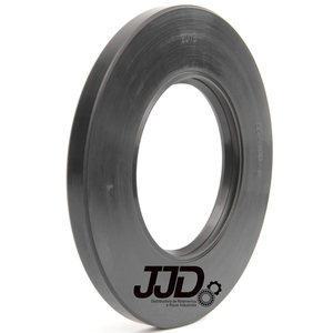 Retentor 6016 BRG Arca 55,00x100,00x8,00