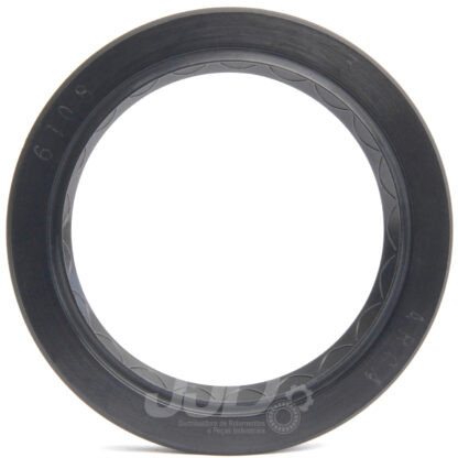 Retentor 01851 BRG 6108 BRG Arca 45,00x60,00x10,00 - Image 2