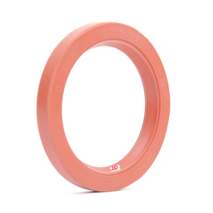 Retentor 5557 BRS DBH