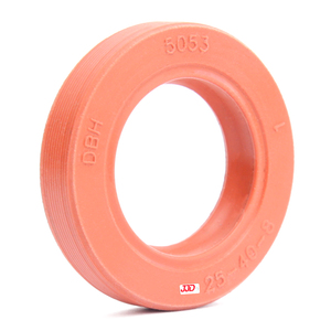 Retentor 5053 BRGS DBH